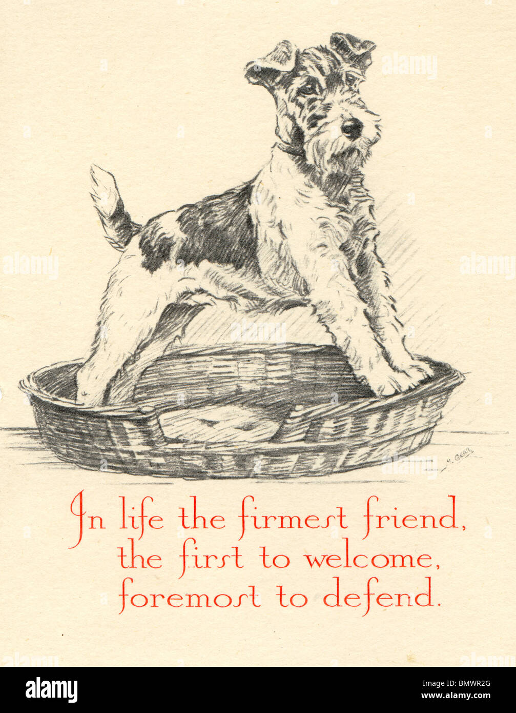 Greeting Card - Dog Stock Photo