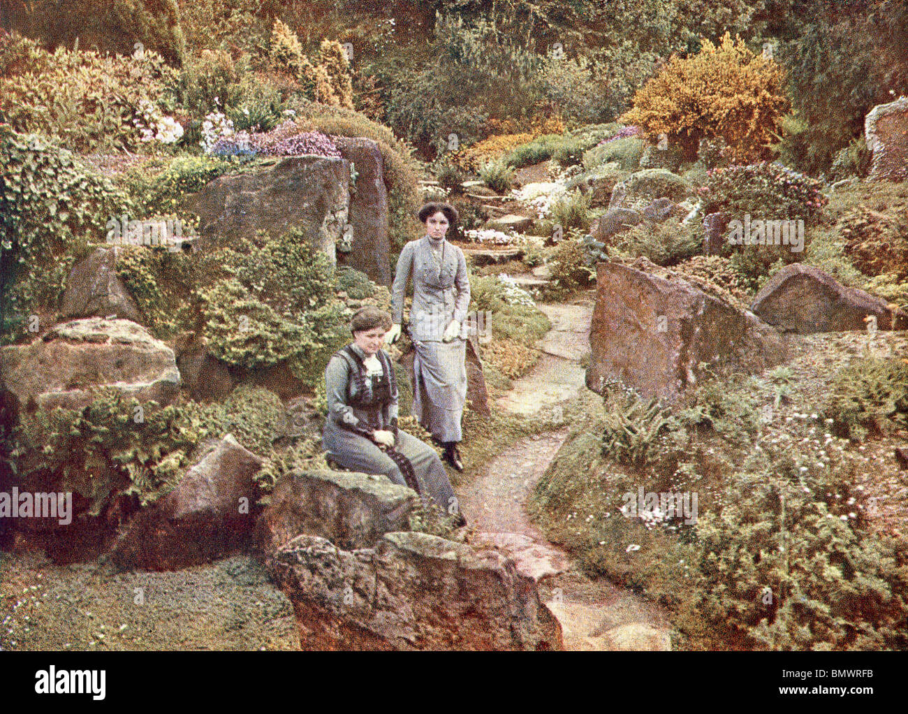 In the Rock Garden at Grey Towers, Nunthorpe Stock Photo Alamy