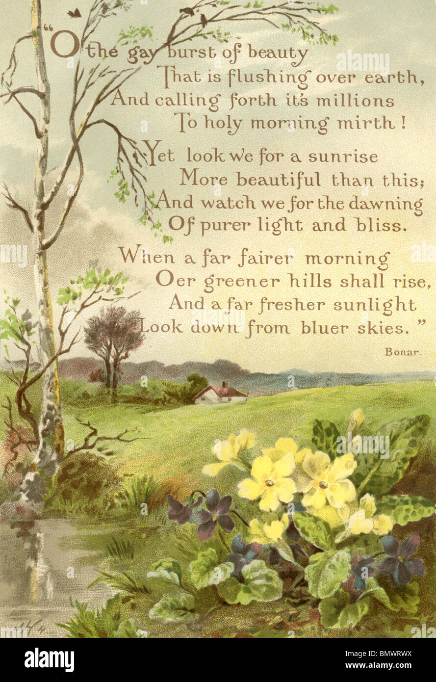 Poem flower hires stock photography and images Alamy