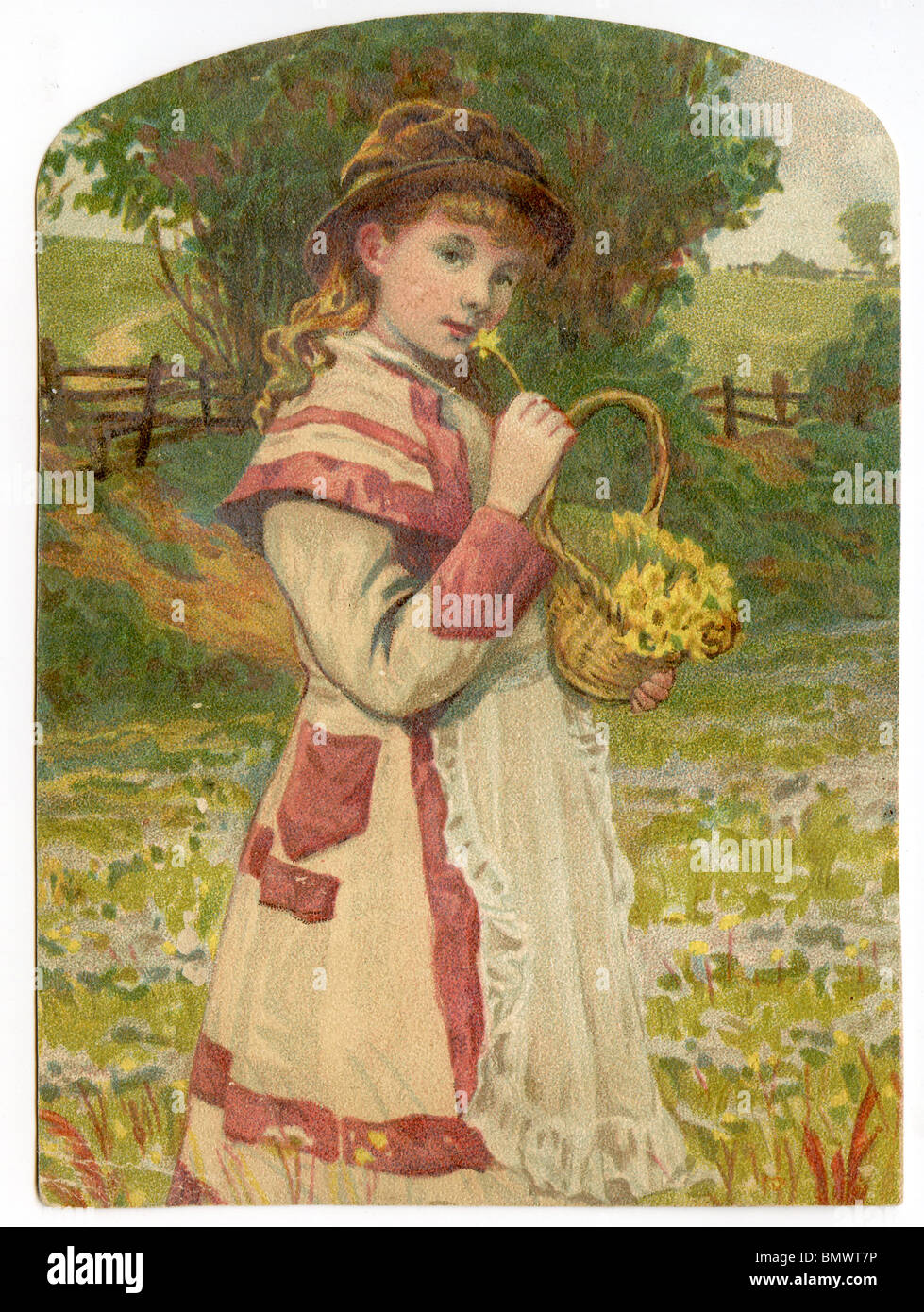 Victorian Lady Gathering Flowers Antique 1884 Book Illustration
