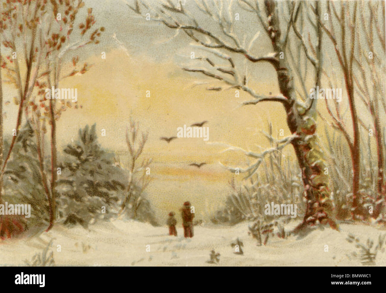 Winter in the Forest Stock Photo - Alamy