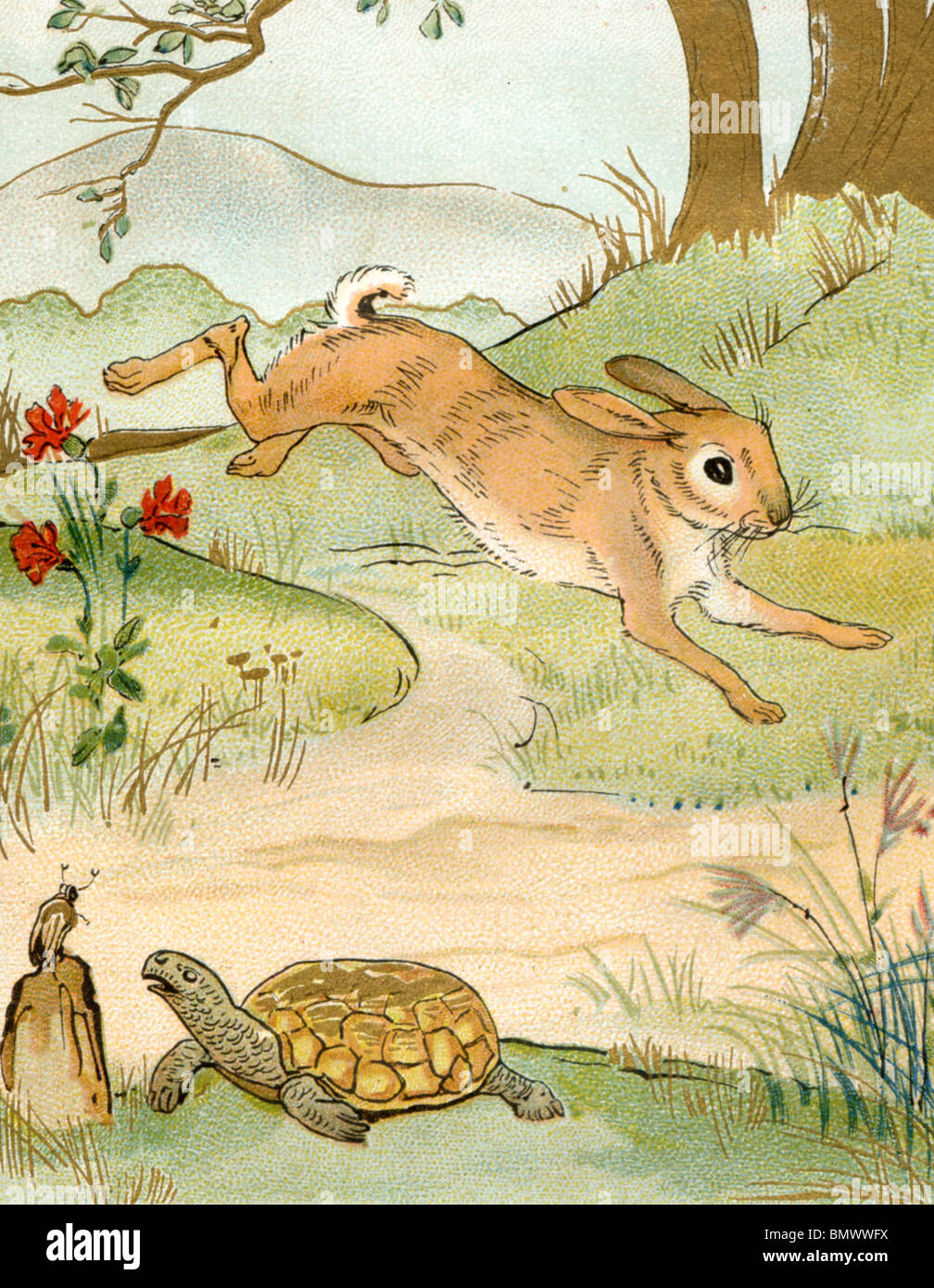 Drawing Rabbit And Tortoise Story At Jade Haylen Blog