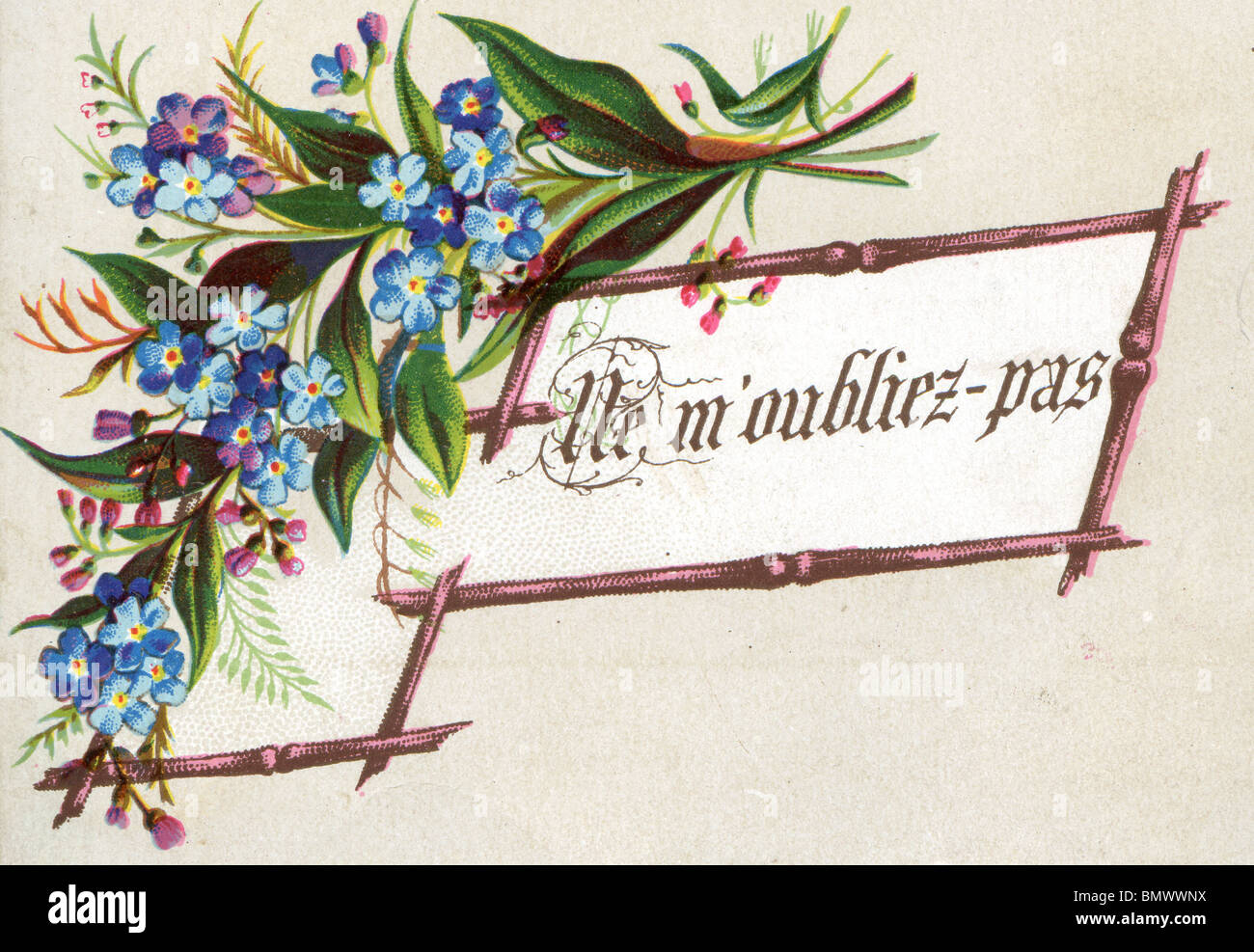 me nots illustration hires stock photography and images Alamy