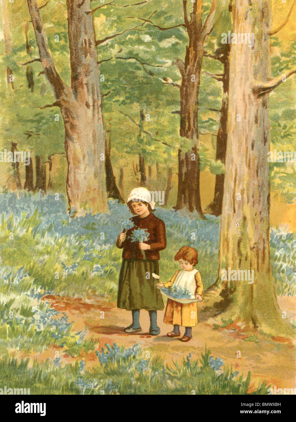 Blue Bell Wood Stock Photo Alamy