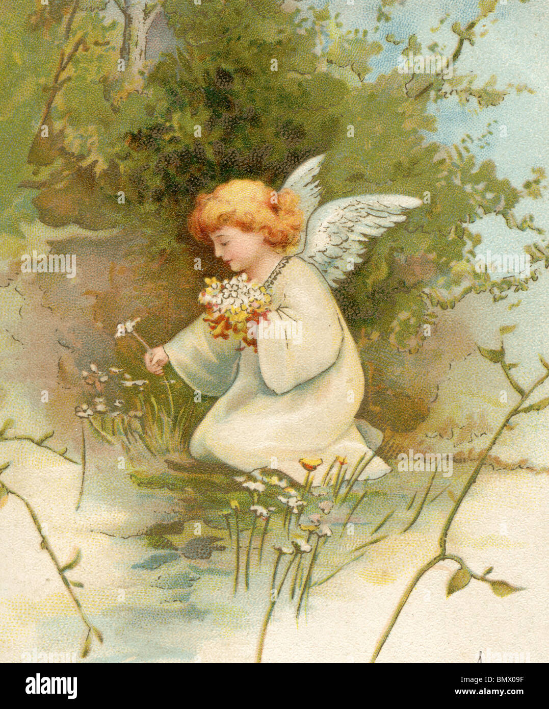 Winged Cherub Picking Flowers Stock Photo