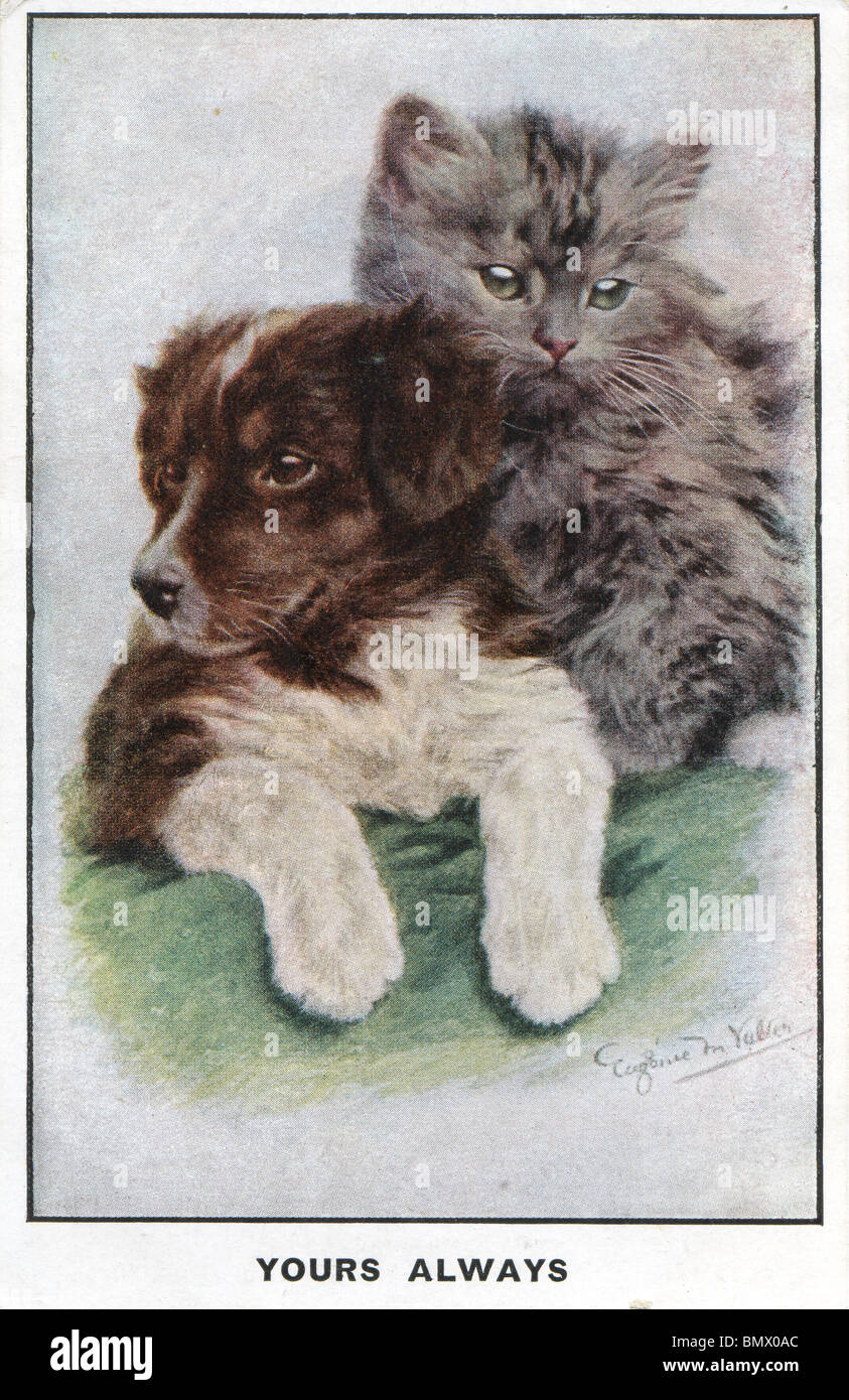 The Two Friends - Dog and Cat Stock Photo