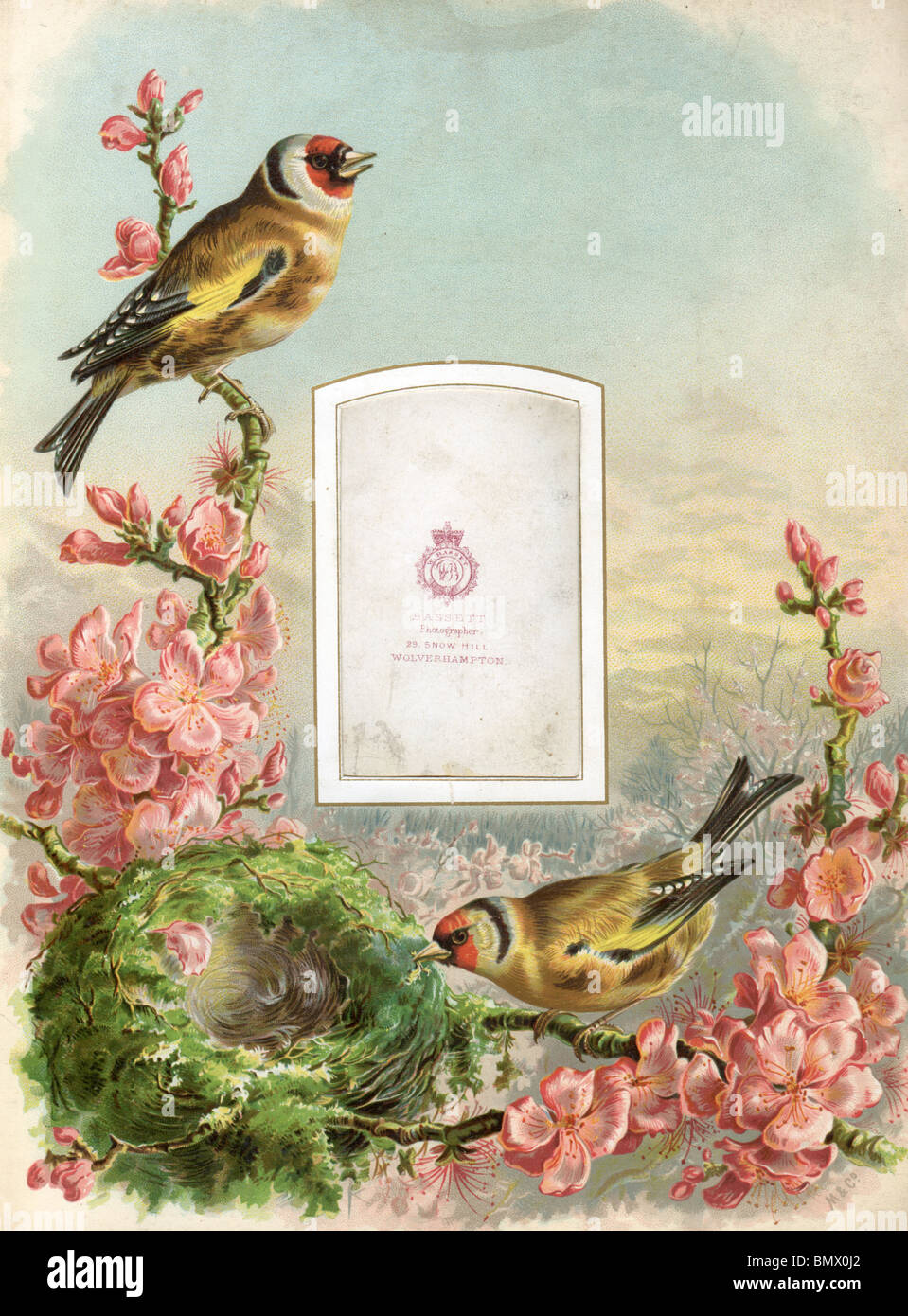 Decorative Photo Frame Stock Photo Alamy