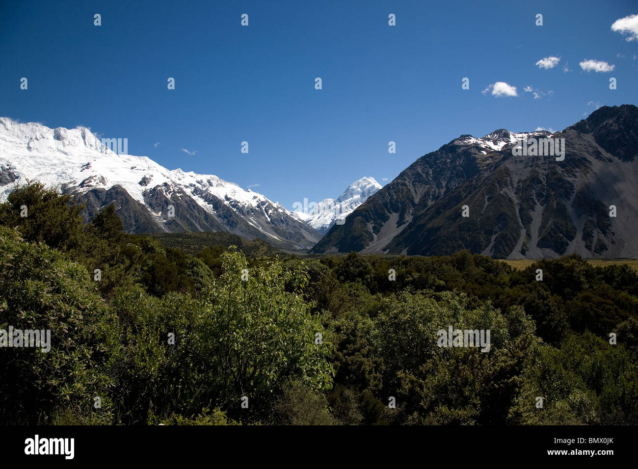 Mount Cook peak seen over the tree tops of the valley. Stock Photo