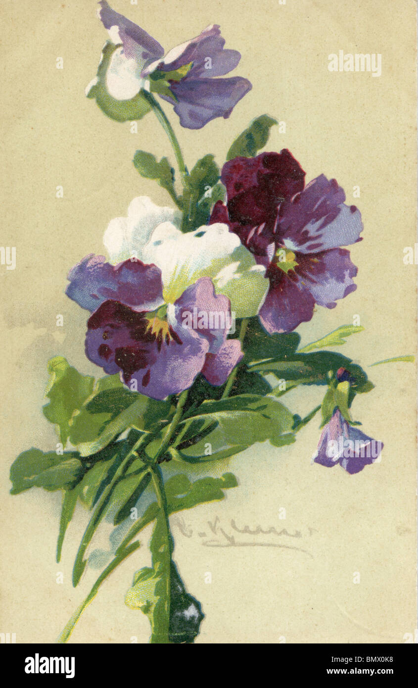 Purple Pansies Stock Photo