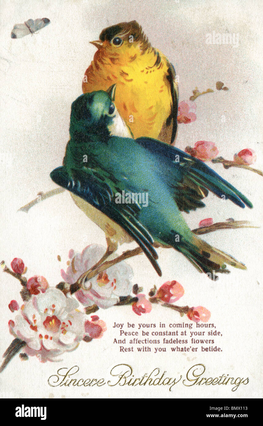 Birthday Card - Birds Stock Photo
