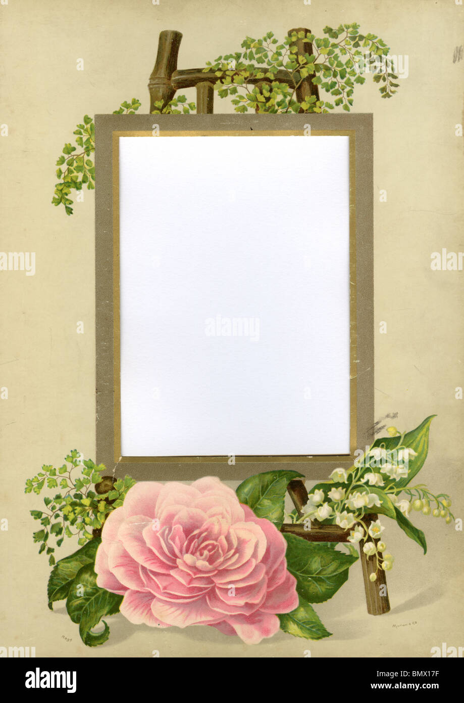 Decorative Frame - Pink Rose and Lily of the Valley Stock Photo - Alamy
