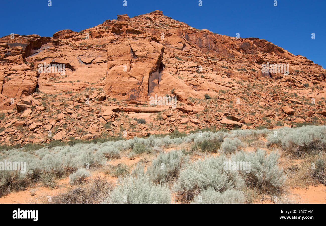 sandy trails leading through desert sage to craggy sandstone peak Stock Photo