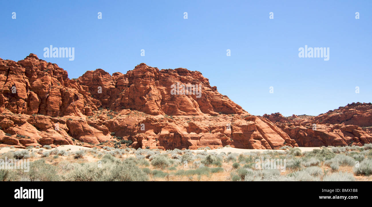 Desert sage grows the the foreground of a sandstone outcrop Stock Photo