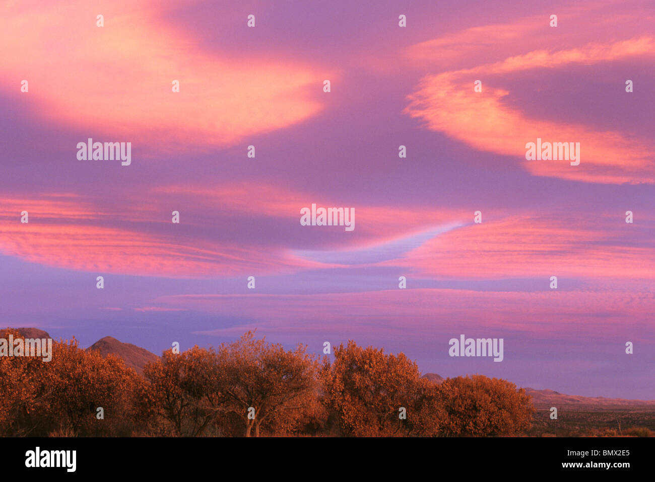 Bosque del apache hi-res stock photography and images - Alamy