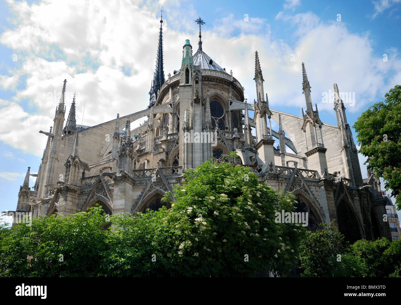 Notre Dame Cathedral view from backyard Stock Photo