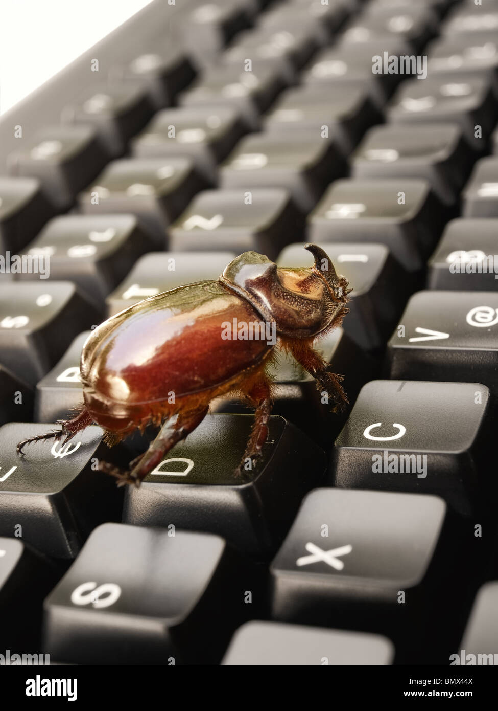 Metaphors about problems in the world of computers, software, and Internet. Stock Photo