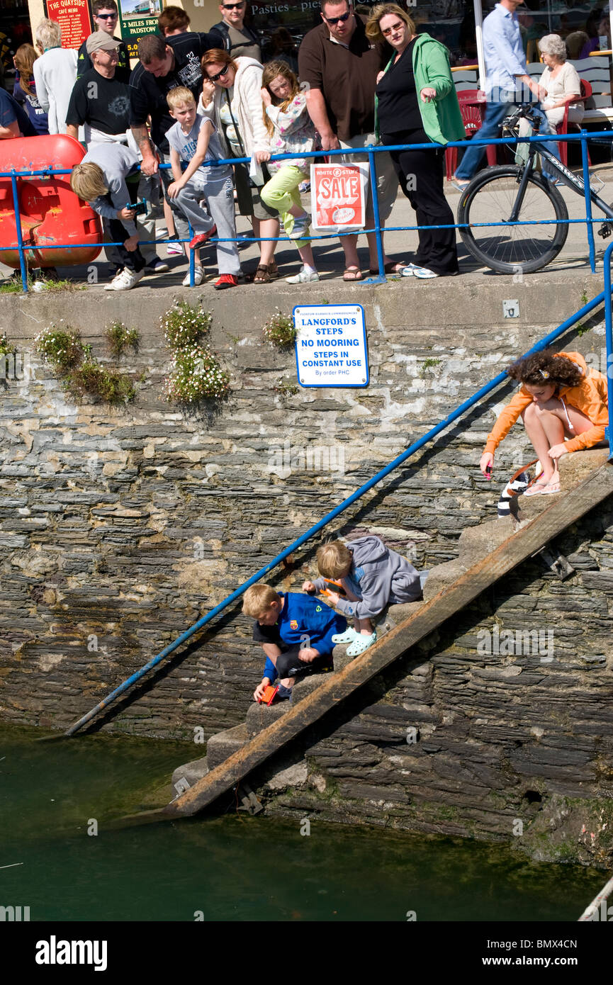 Children fishing or crabbing at Padstow, Cornwall, England Stock Photo
