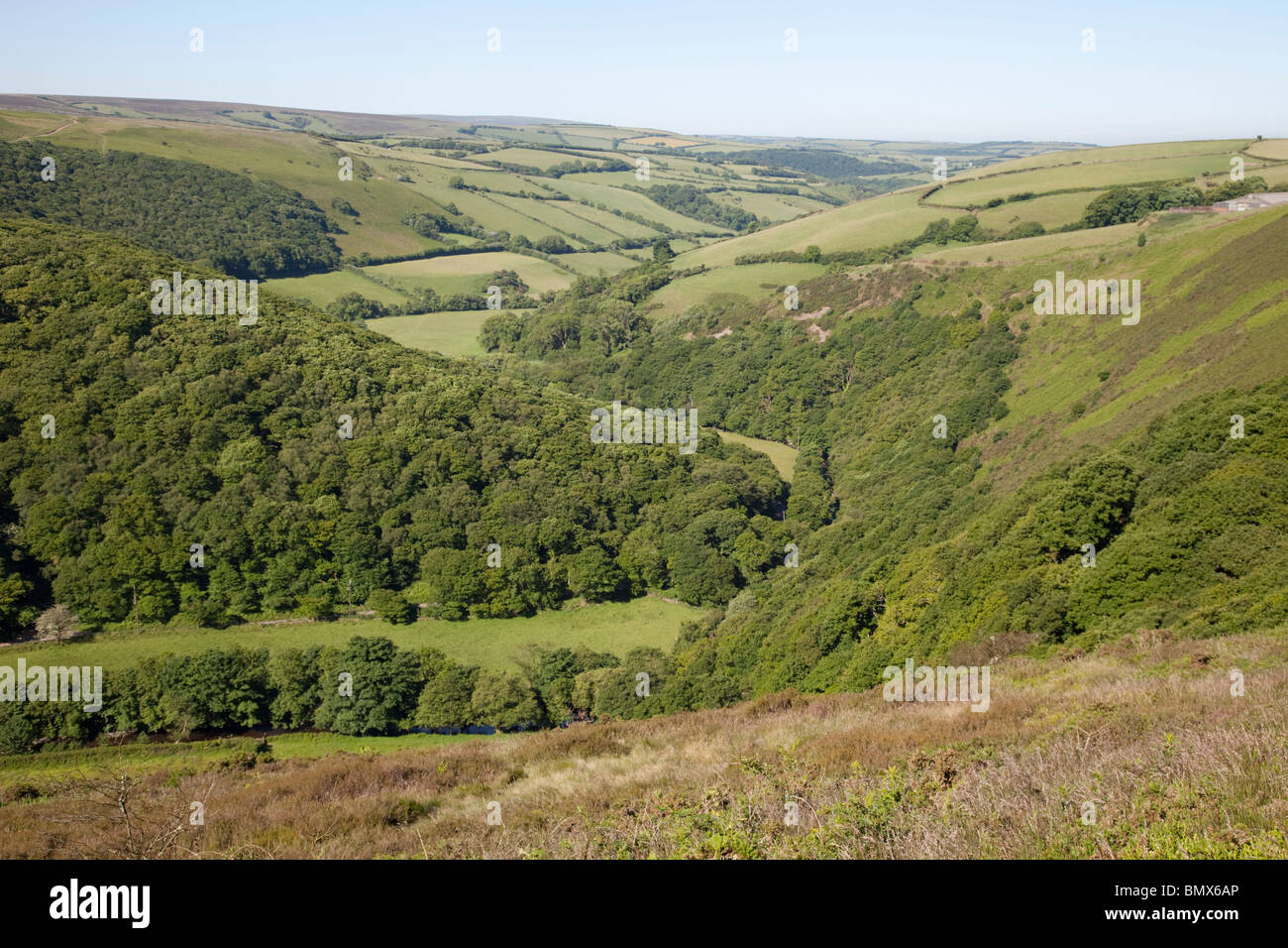 Wooded valley on Exmoor taken from Countrygate Country Park near Porlock Somerset UK Stock Photo