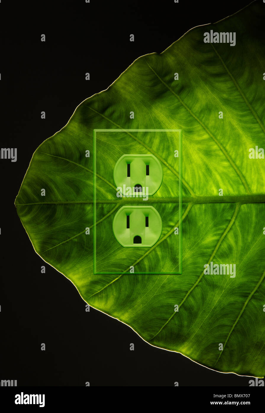 A green plant leaf with an electrical power outlet Stock Photo - Alamy