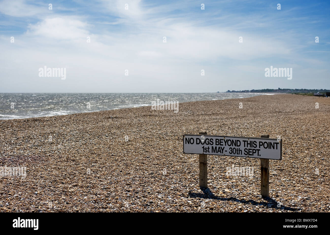 A sign banning dogs from Thorpeness Beach in Suffolk.  Photo by Gordon Scammell Stock Photo