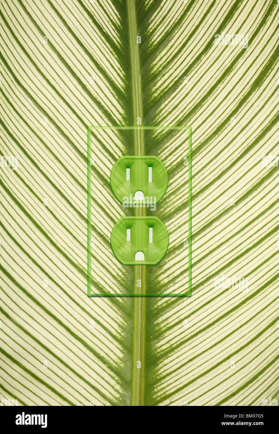 A green plant leaf with an electrical power outlet on the spine Stock Photo