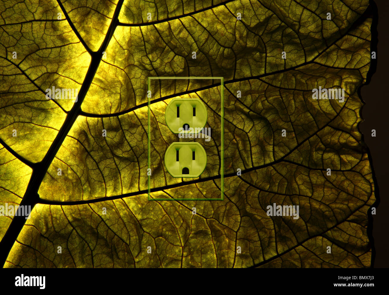 A green plant leaf with an electrical power outlet Stock Photo - Alamy