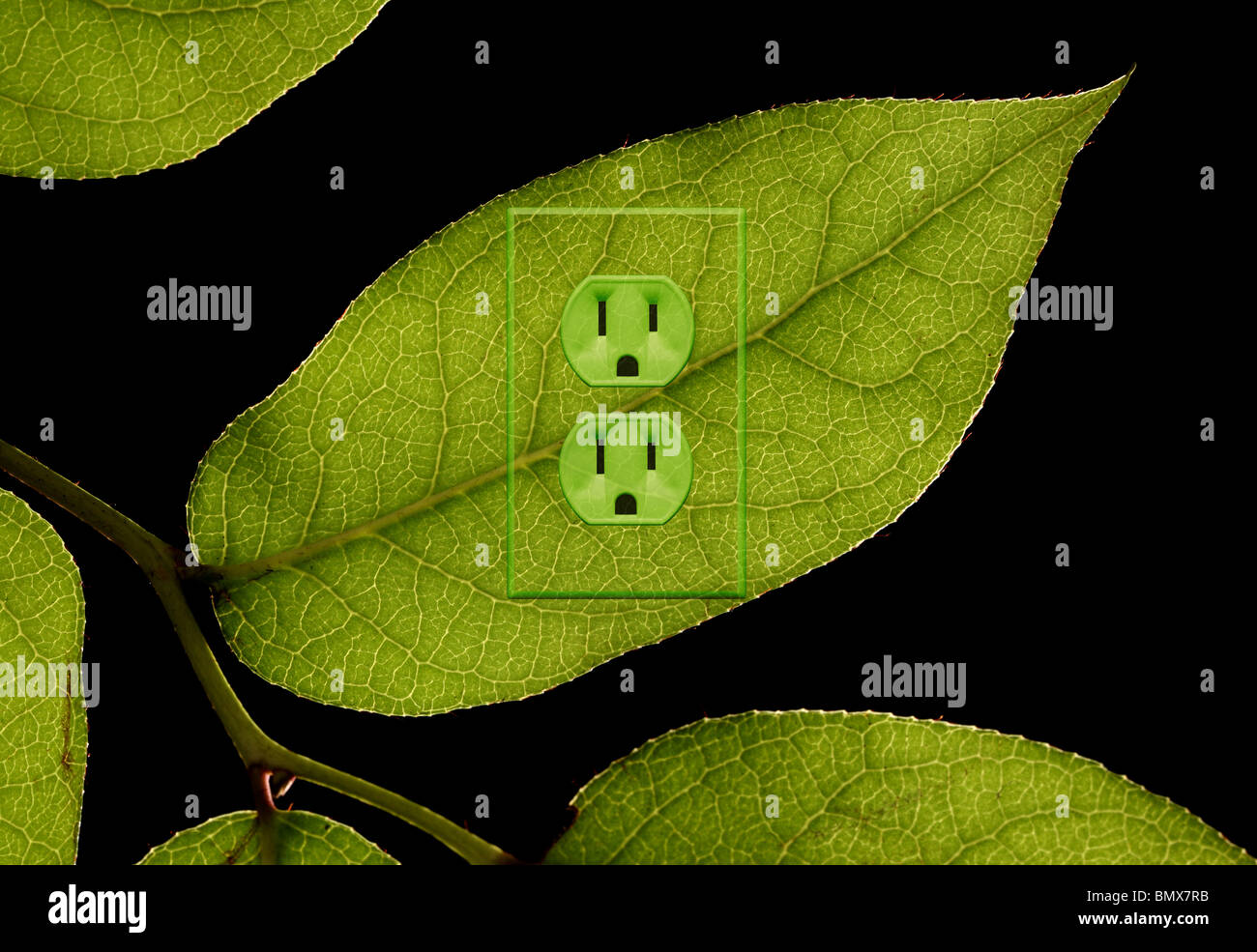 A green plant leaf with an electrical power outlet Stock Photo