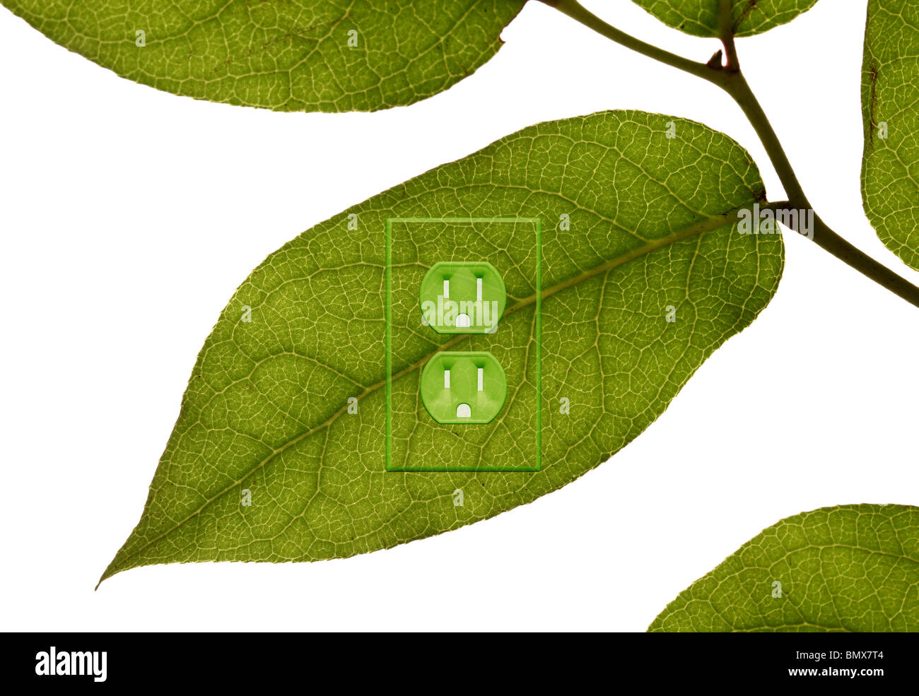 A green plant leaf with an electrical power outlet Stock Photo - Alamy