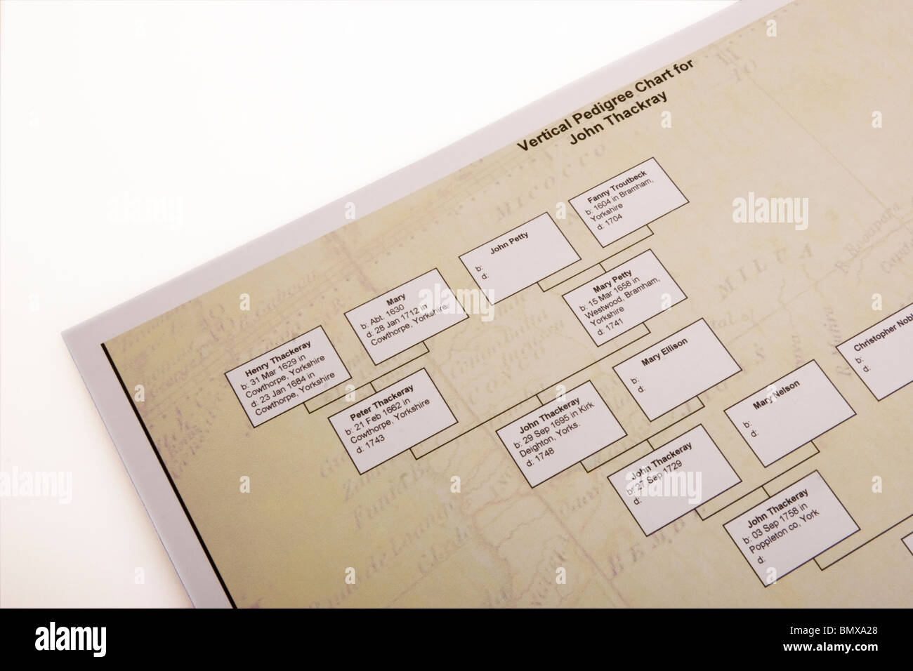 Printout of a family tree from genealogy software Stock Photo