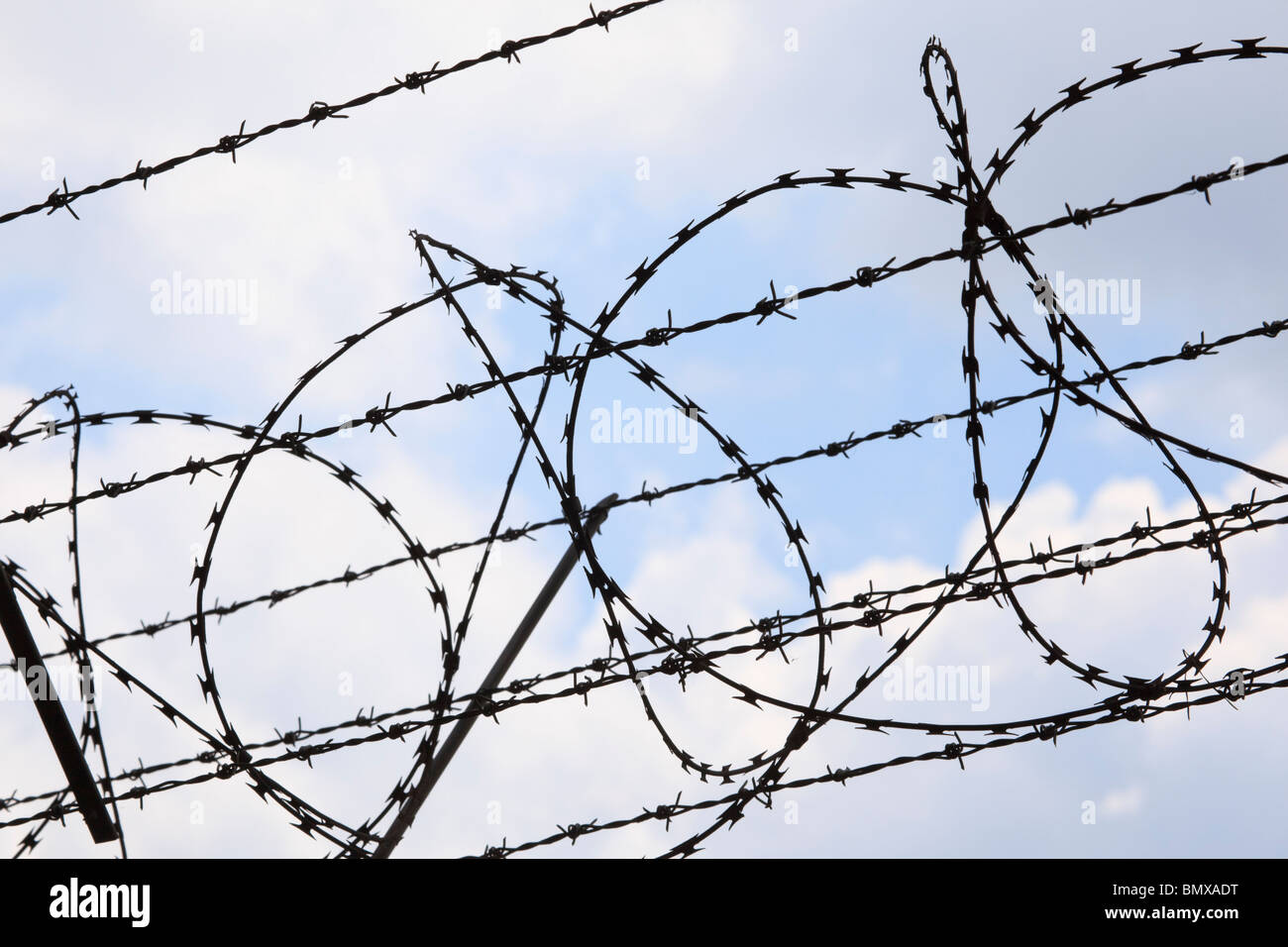 Coiled barbed wire, razor wire, against a cloudy blue sky Stock Photo ...