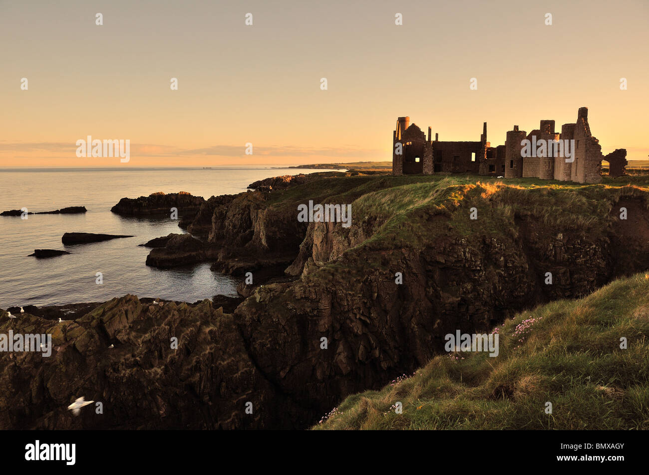 Slains Castle at sunset, Aberdeenshire, Scotland Stock Photo