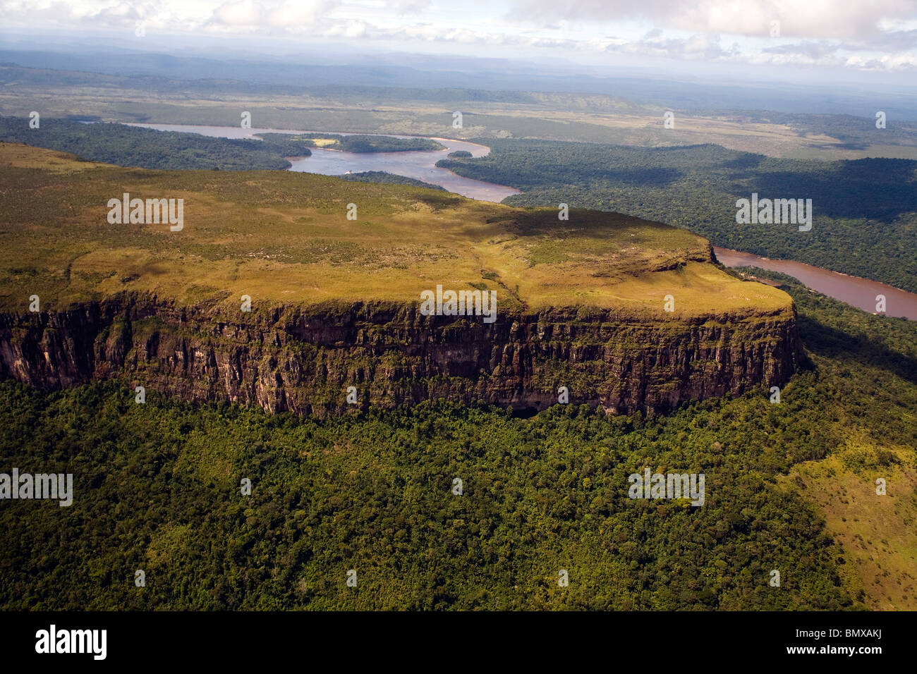 VENEZUELA /GUAYANA /NATIONAL PARK CANAIMA /Tepui mountain surrounded by a forest and a river shoot from above Stock Photo