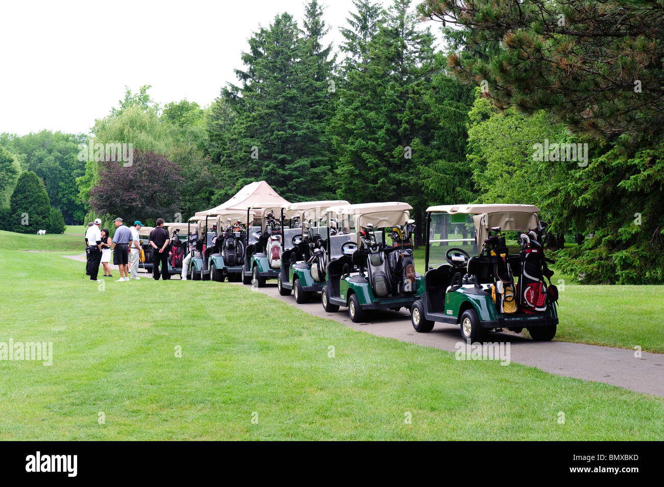 Traffic jam on the golf course: a line of carts during a corporate event. Stock Photo