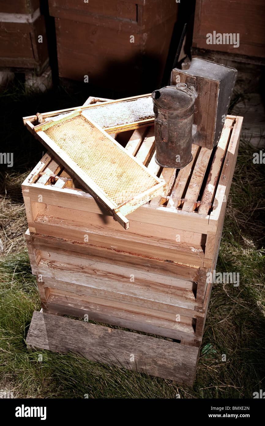Bee keeping equipment Stock Photo