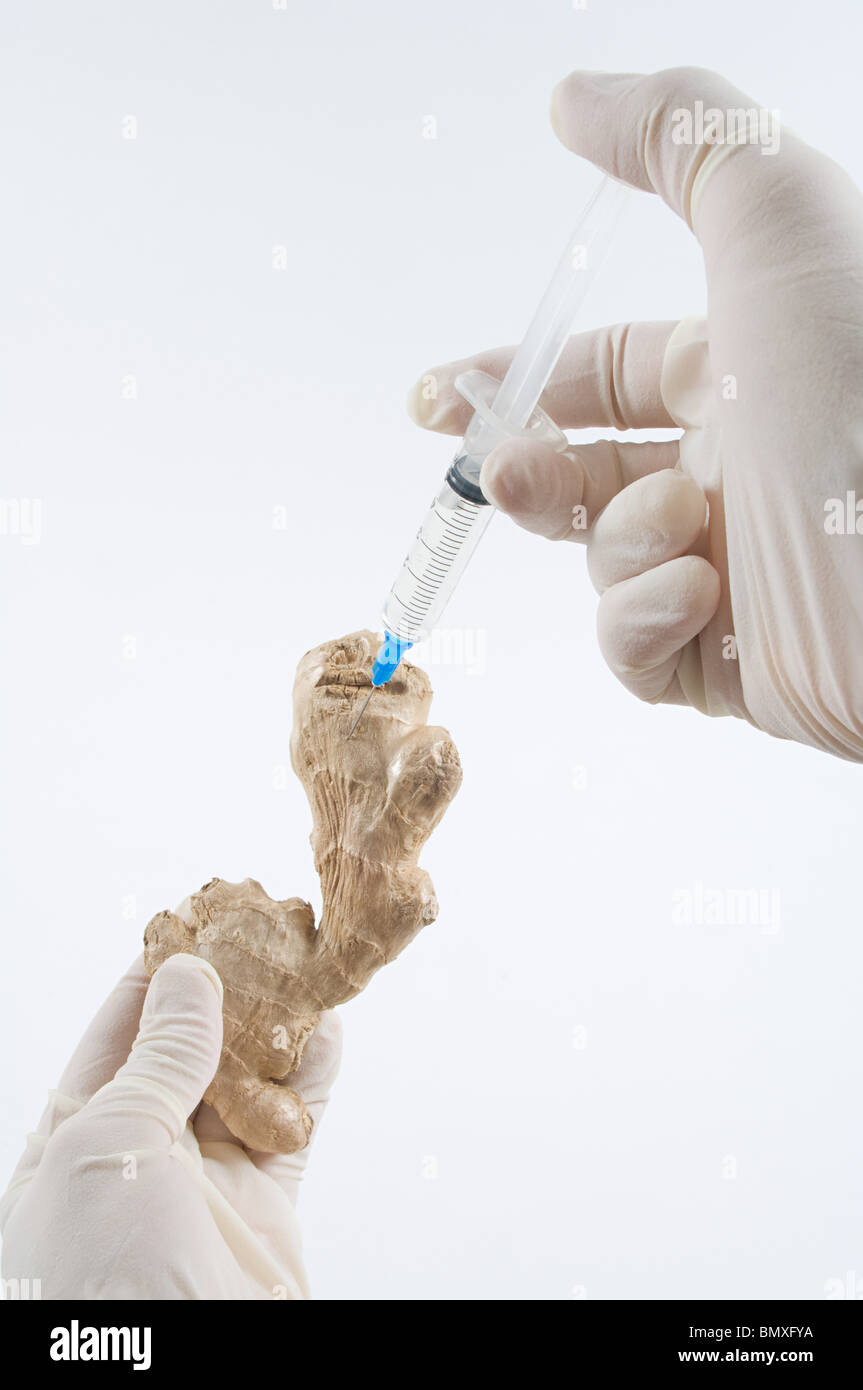 Person injecting ginger Stock Photo