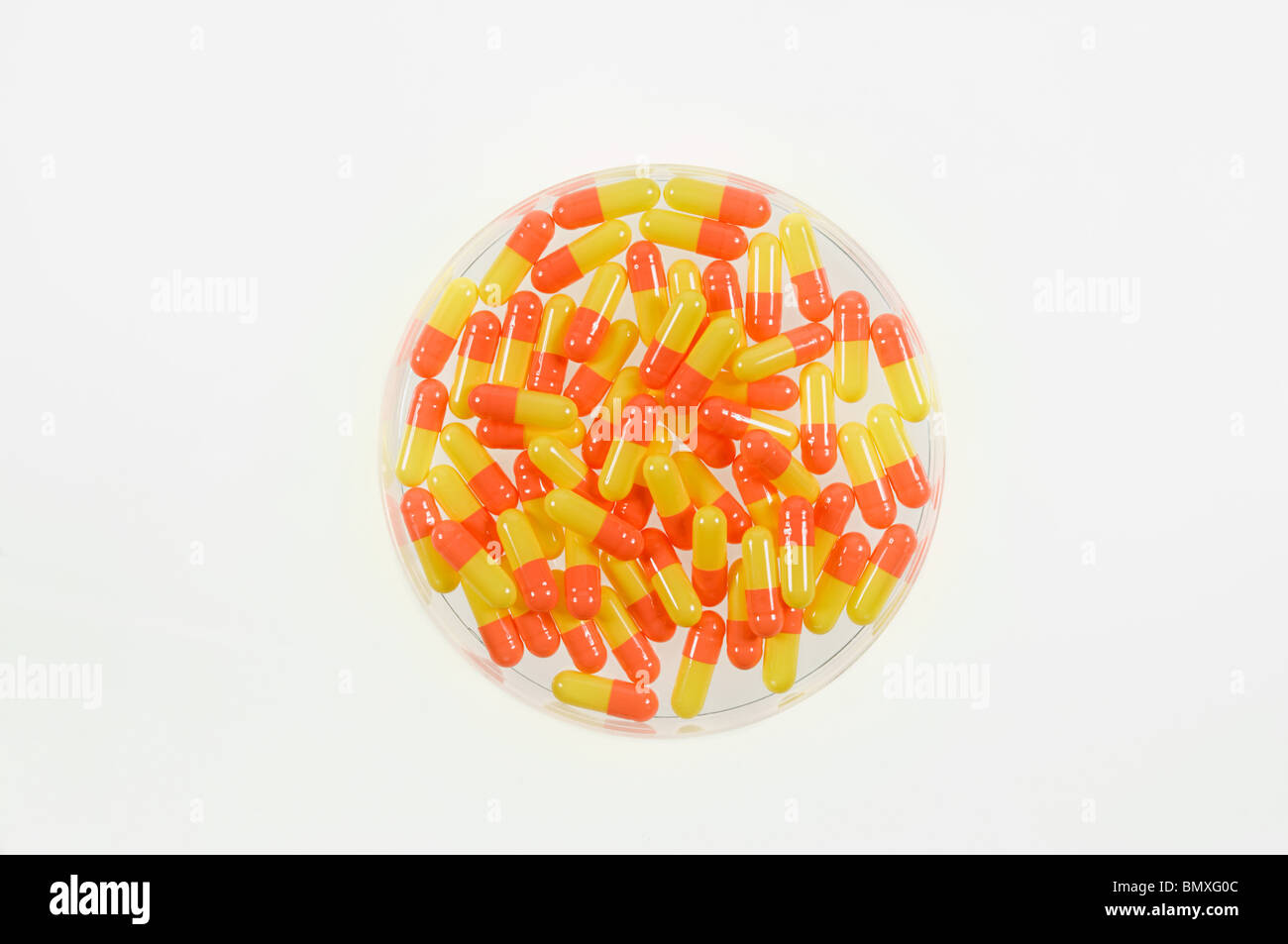 Capsules in a petri dish Stock Photo
