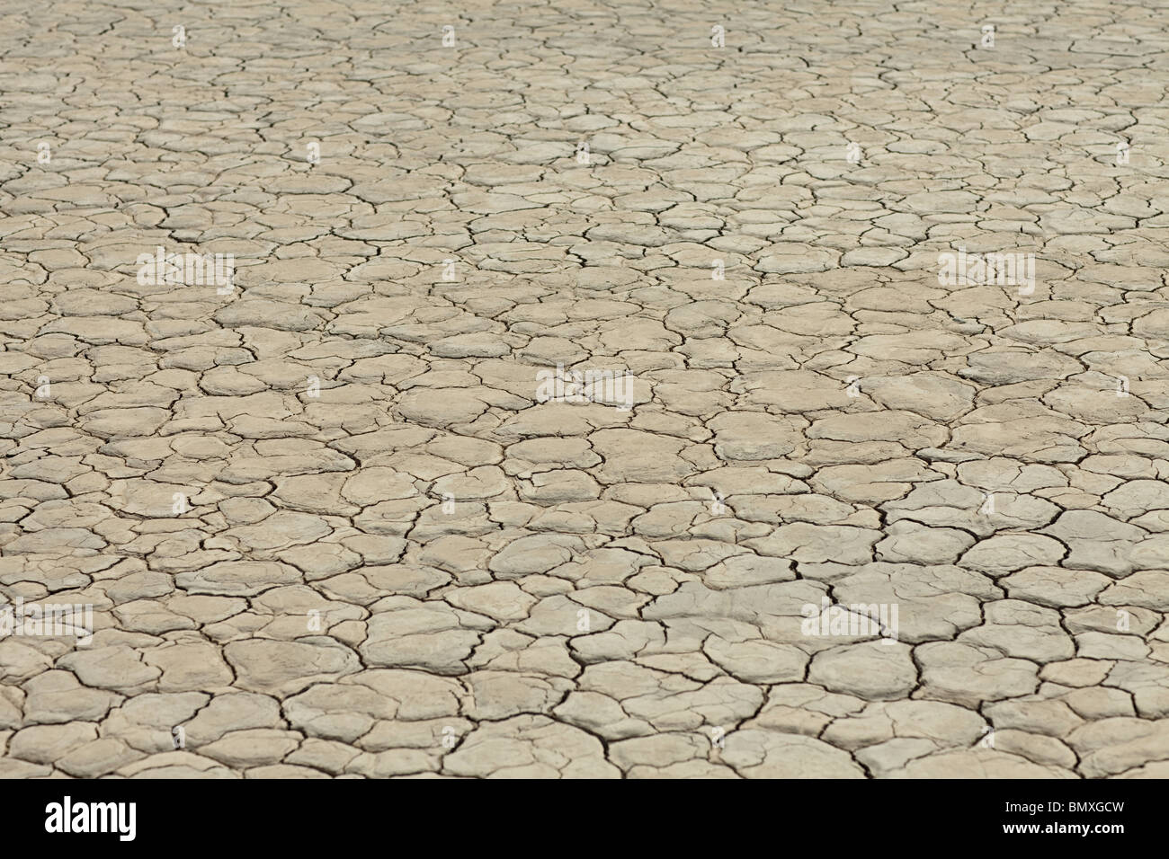 Cracked surface of dry lake bed Stock Photo