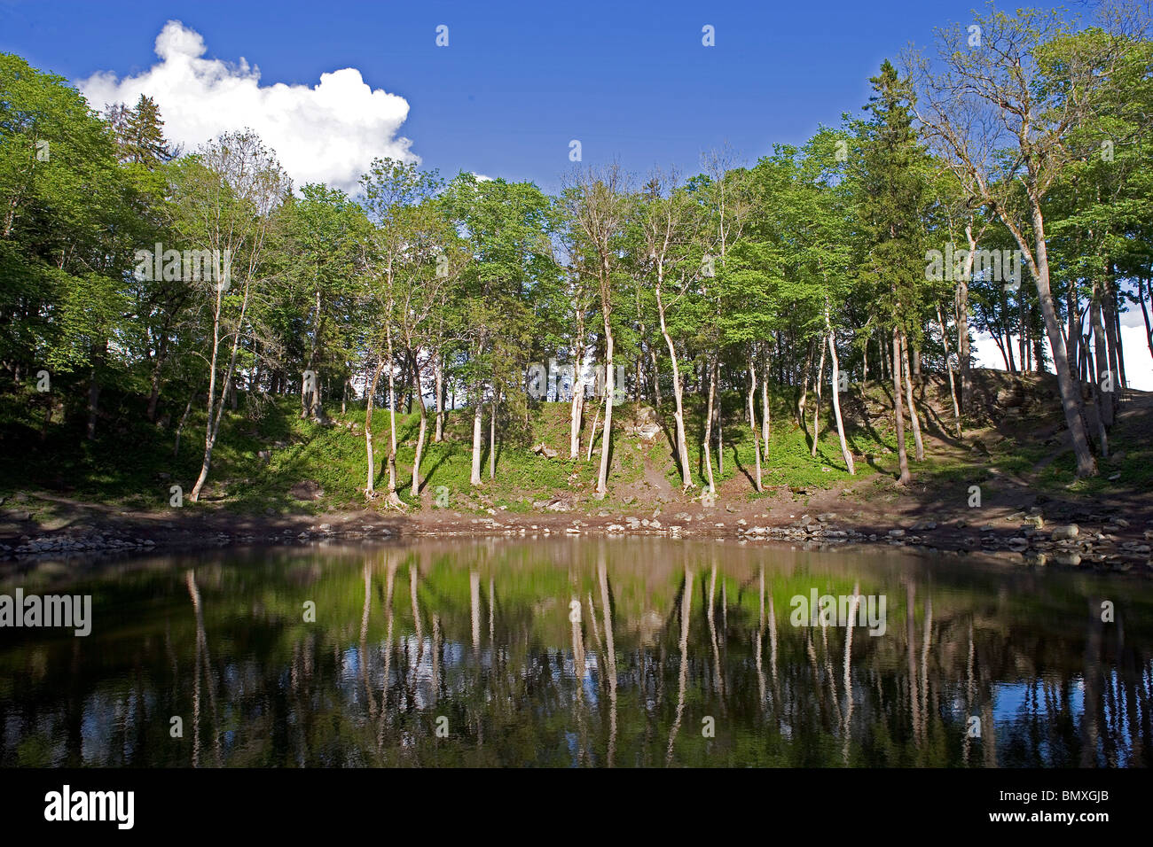 Estonia,Saaremaa Island,Kaali,meteorite crater,forest,lake,water Stock Photo