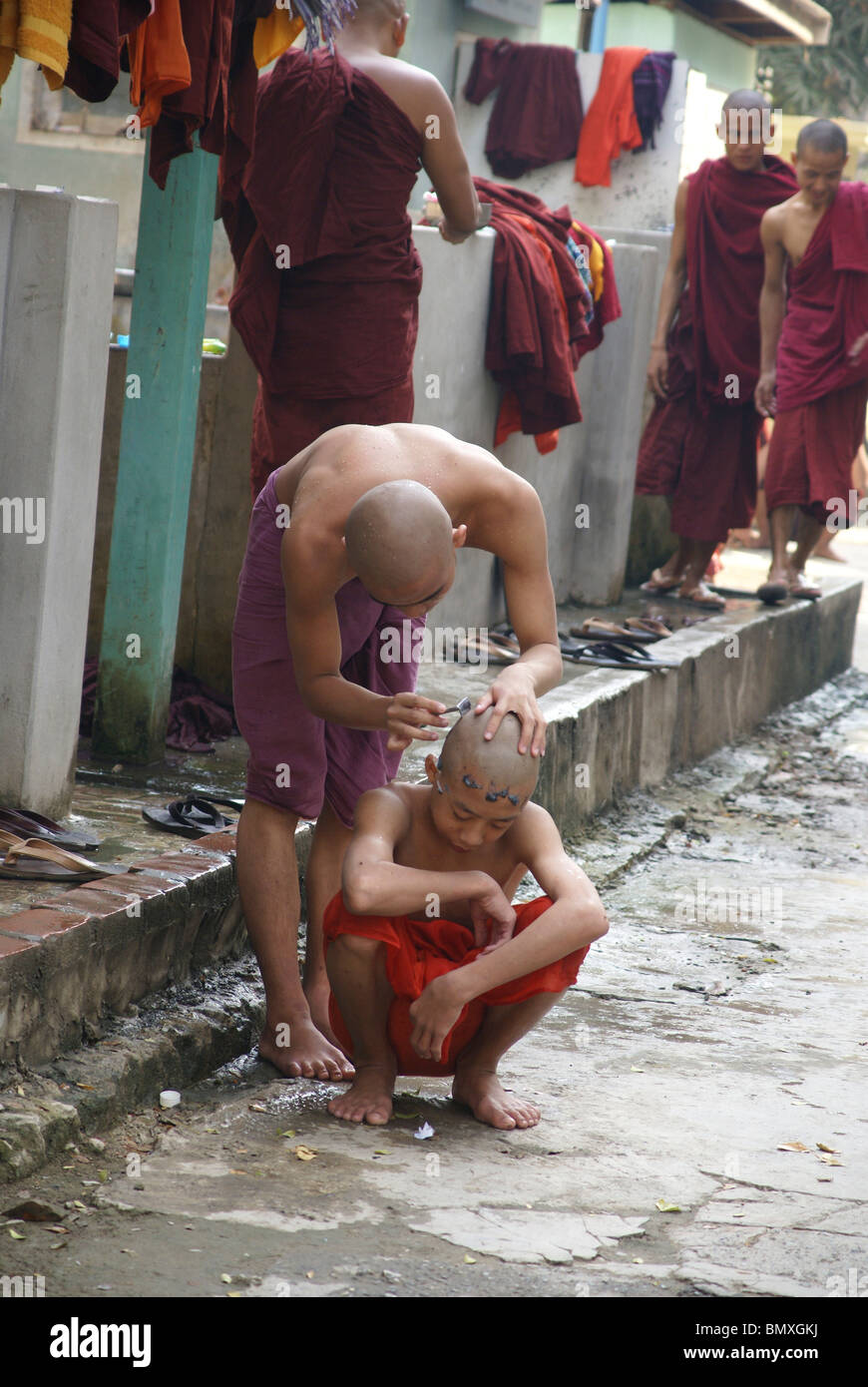 Myanmar, Amarapura, Mahagandayon Monastery, Burmese monks shaves the head of a colleague Stock Photo