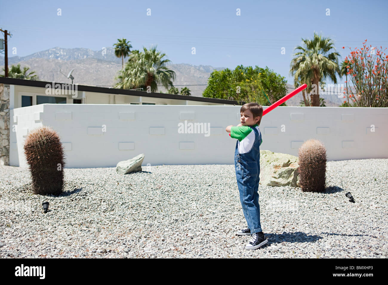 Young boy with sports bat Stock Photo
