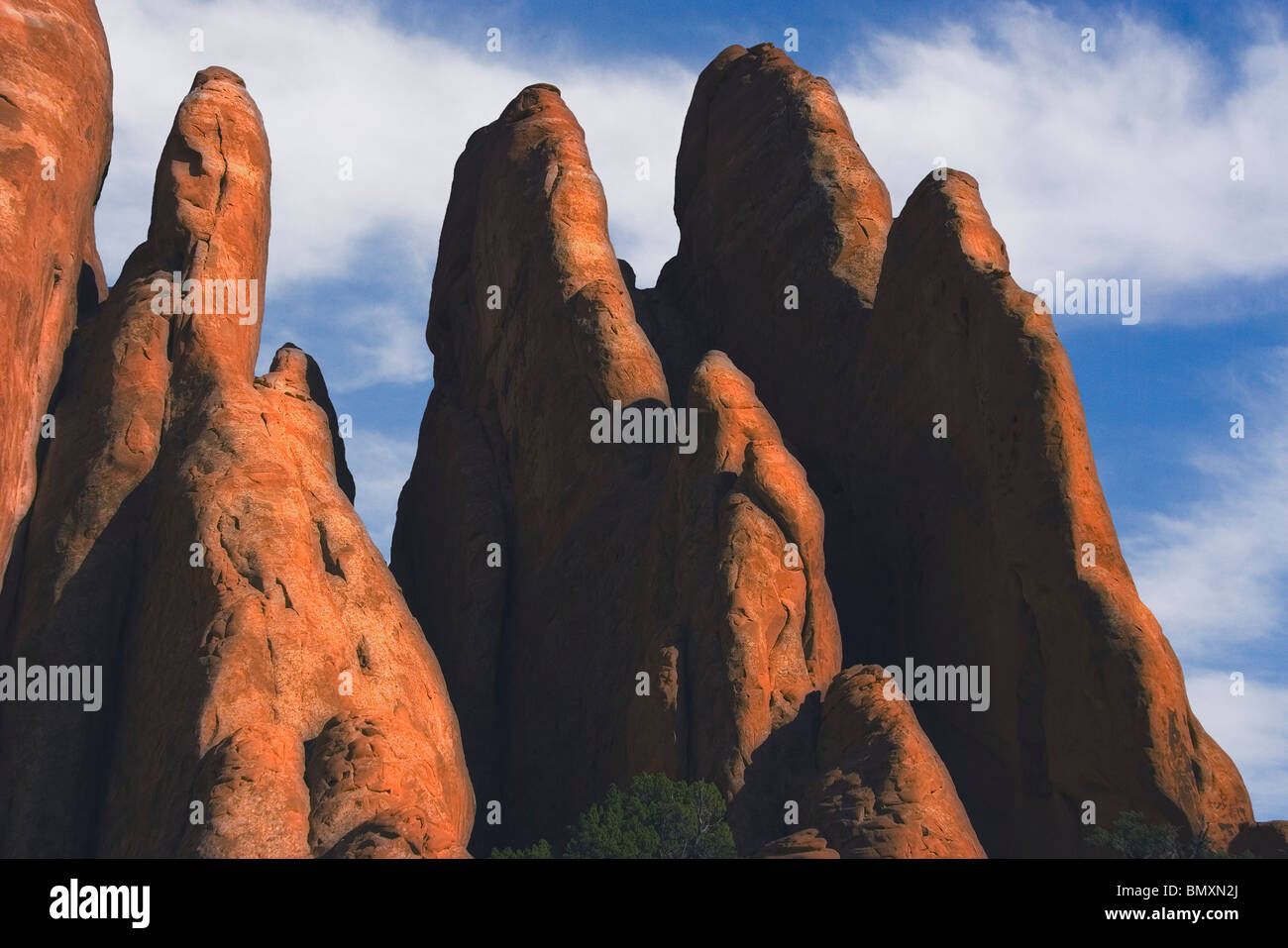 Late Afternoon sunlight on sandstone fins in Arches National Park near the town of Moab Utah Stock Photo