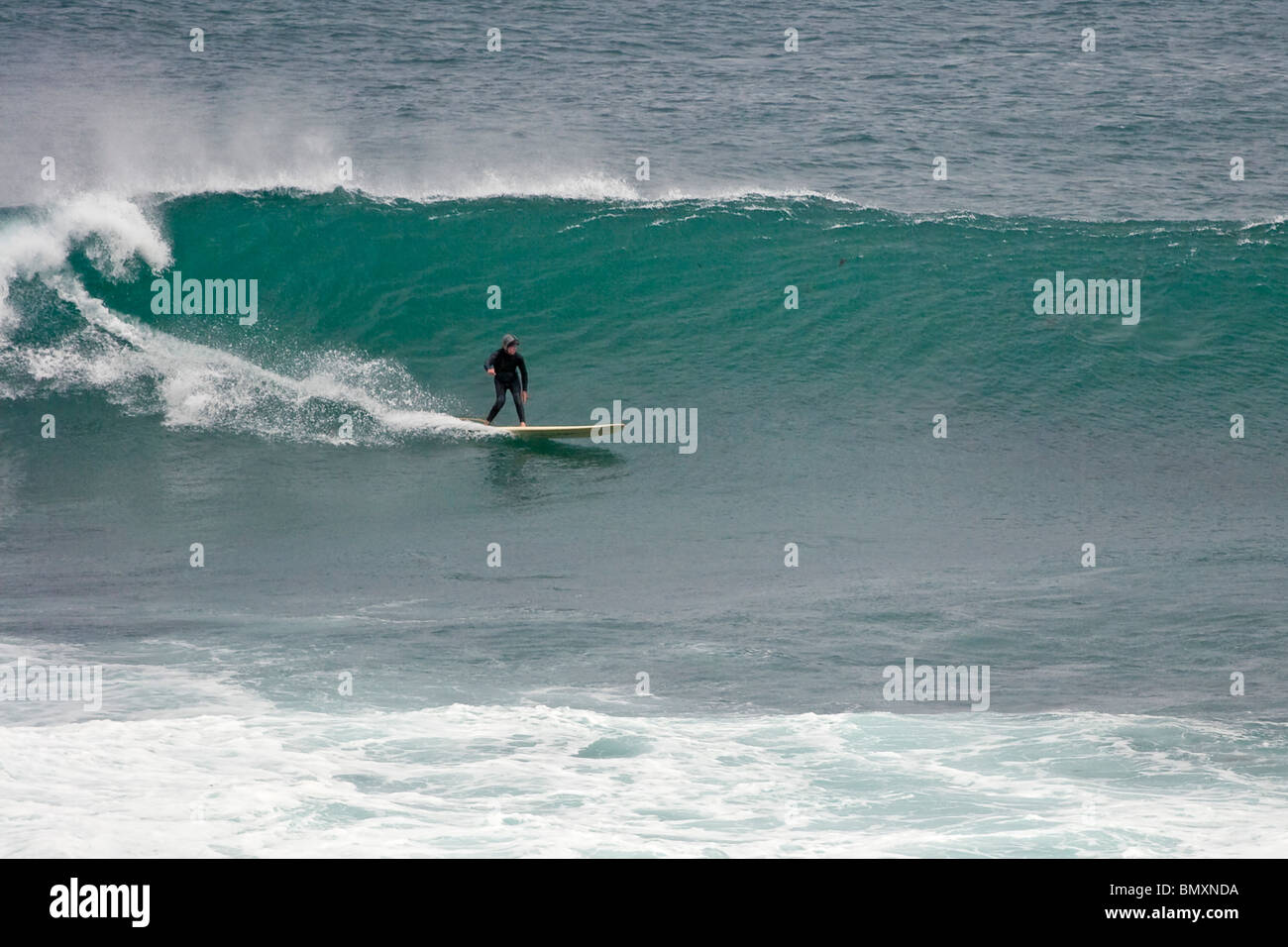 Surf break 2024