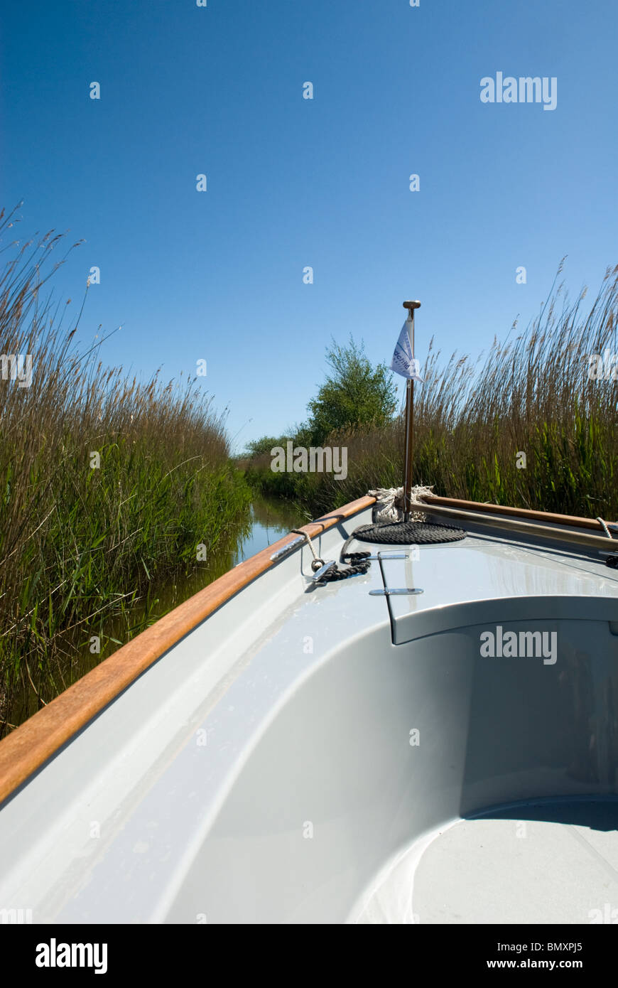 Broad Line Vs Narrow Reed The Broad And Narrow Way High Resolution Stock Photography and Images ...