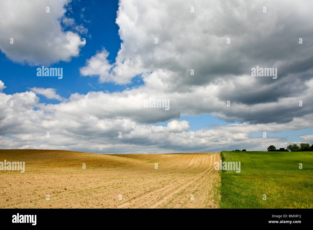 Summer rural landscape Stock Photo - Alamy