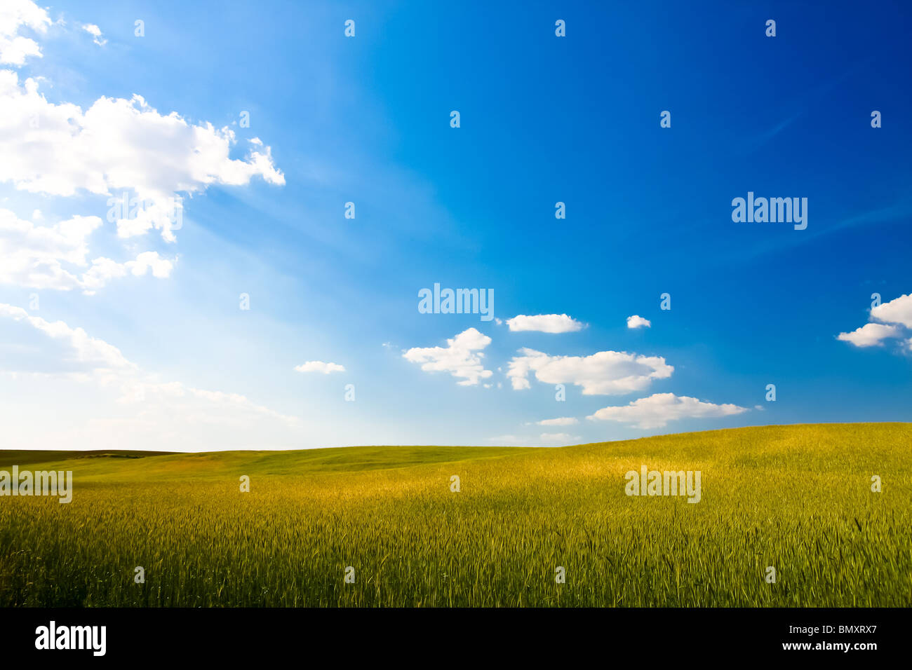 Summer rural landscape Stock Photo - Alamy