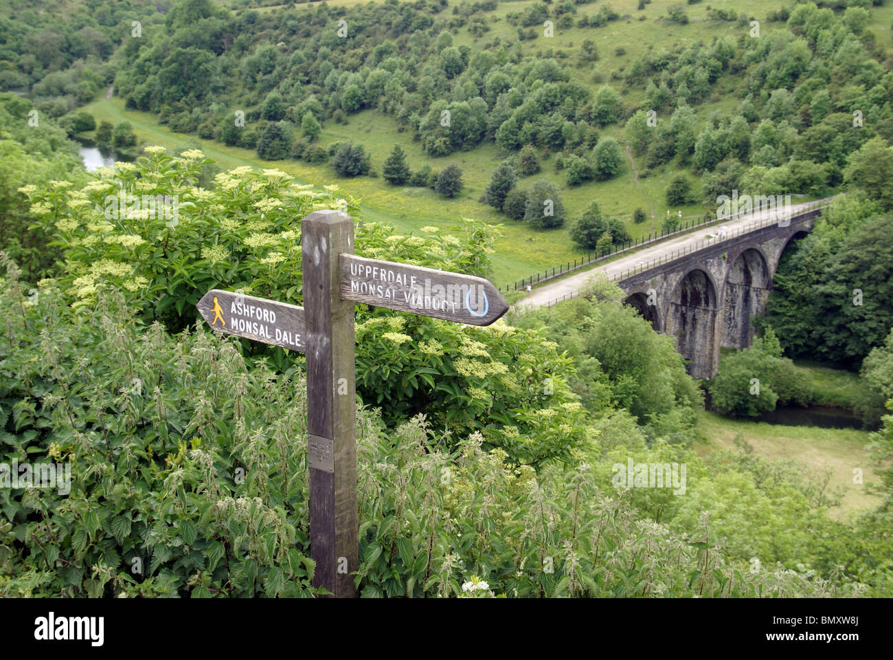 View from the foot path on the Monsal trail over looking Monsal Head Viaduct Stock Photo
