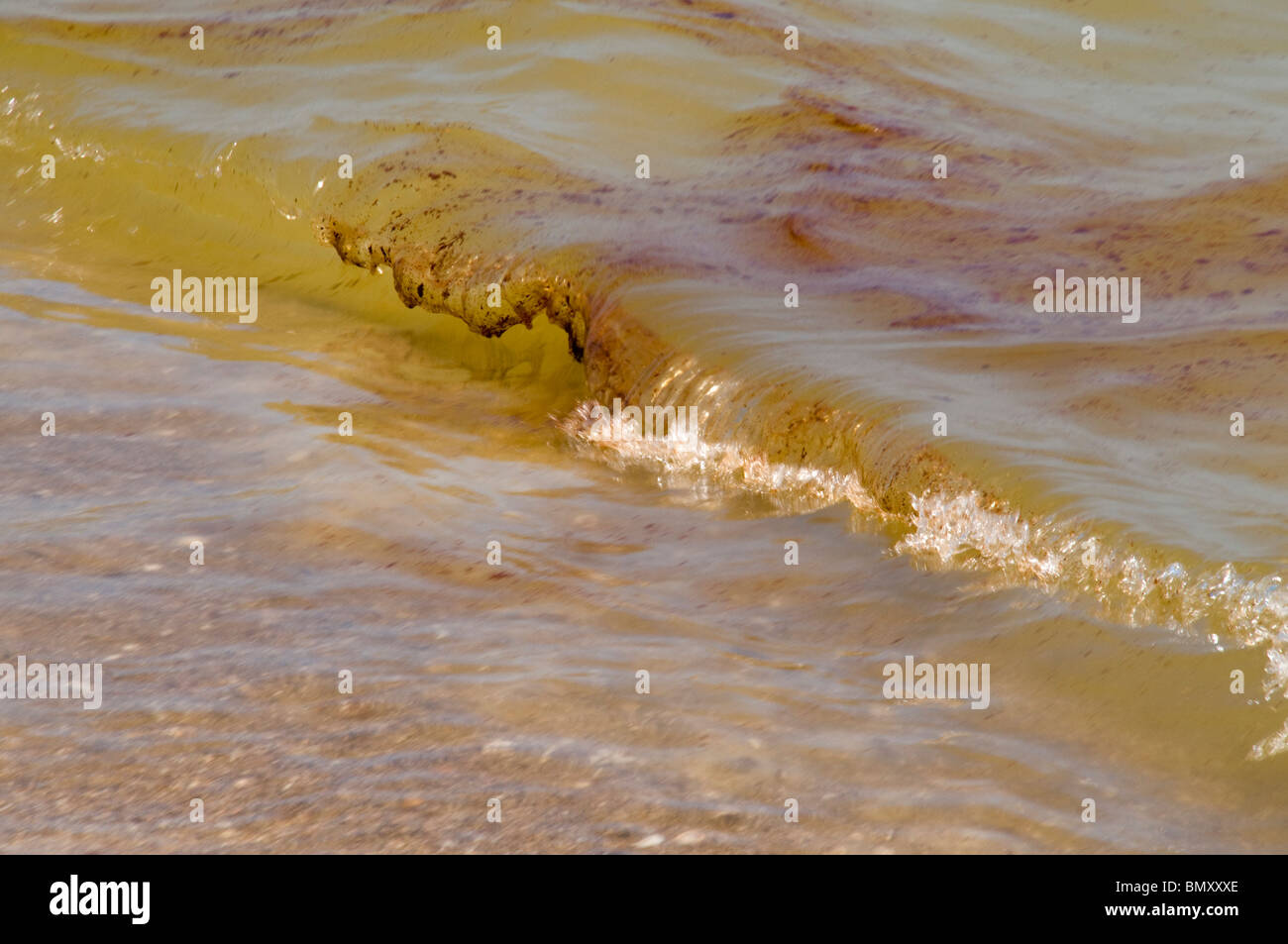 Oil in the water during 2010 BP oil spill Stock Photo