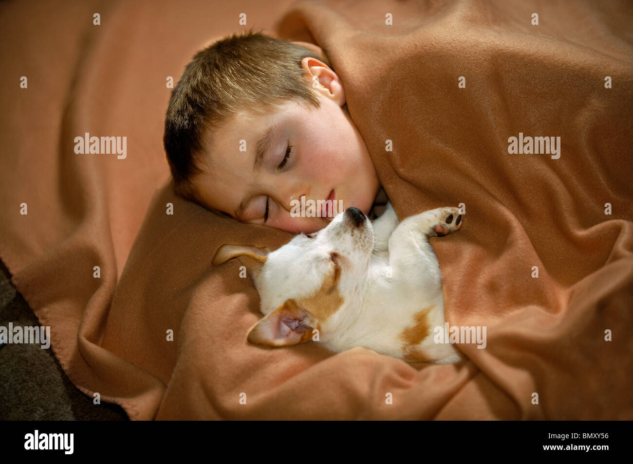 boy and puppy - sleeping Stock Photo