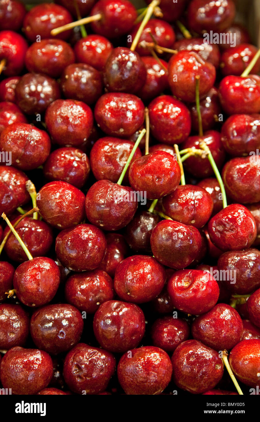 Cherries. Stock Photo