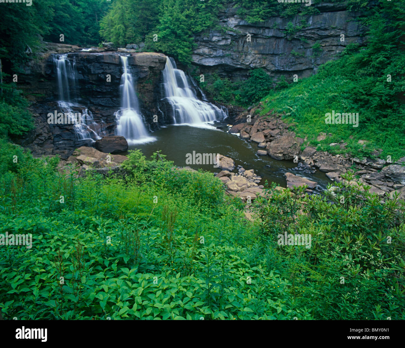Blackwater Falls State Park, WV Blackwater Falls on the Blackwater